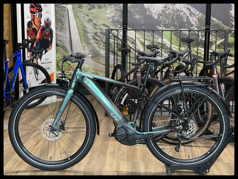 Liv Thrive E+ EX Pro 25km/h Small Echeveria 2022-1